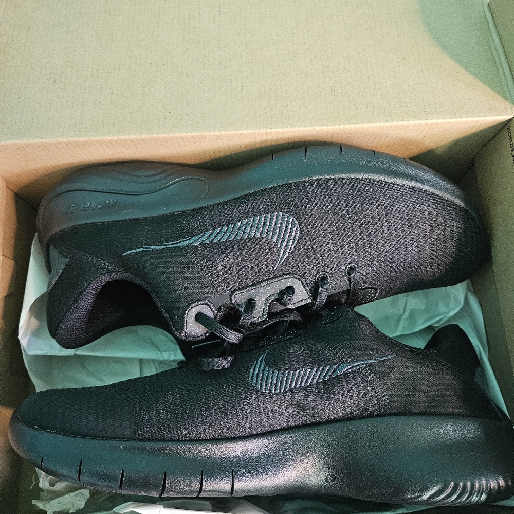 Nike Flex Experience Run 11 Men's Road Running Shoes